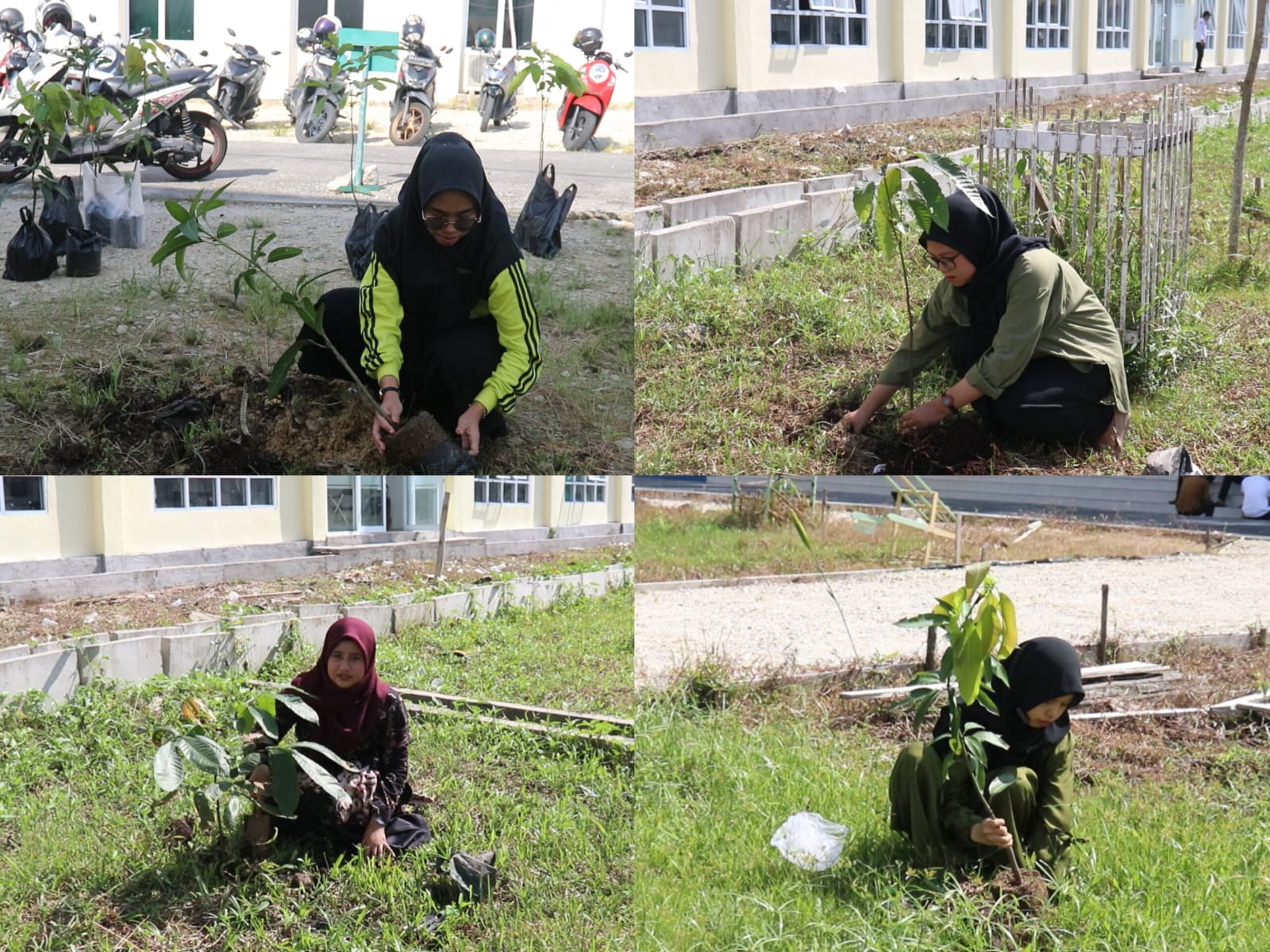 Terapkan Nilai Ekoteologi, 11 CPNS IAIN Datuk Laksemana Bengkalis Lakukan Aksi Penanaman Pohon di Lingkungan Kampus (2)